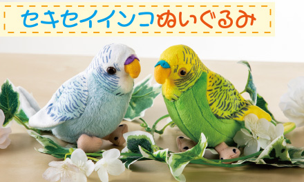 ペニンシュラ®︎セキセイインコぬいぐるみを発売しました！