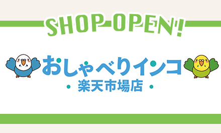 かわいいインコグッズ「おしゃべりインコ楽天市場店」がオープンしました！